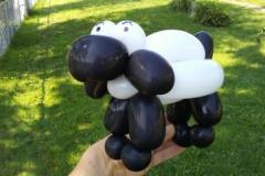 A55_-_BALLOONS-1